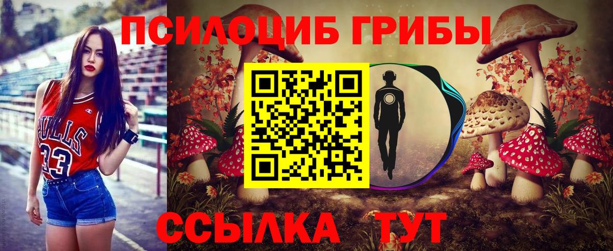 Приморско-Ахтарск  Галлюциногенные грибы мухоморы  Вход с VPN  Галлюциногенные грибы Psilocybe 