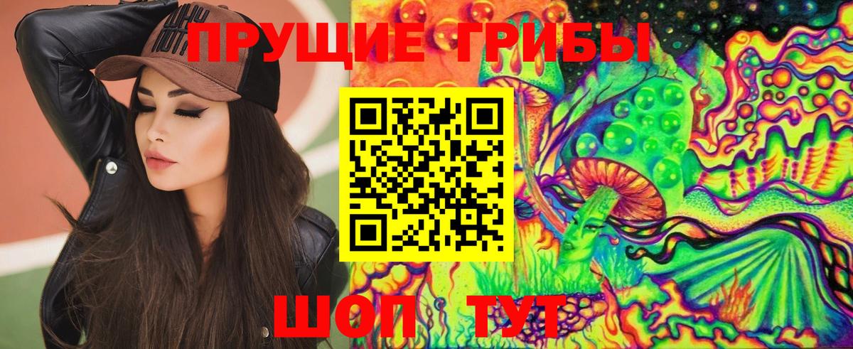Псилоцибиновые грибы Psilocybine cubensis Приморско-Ахтарск